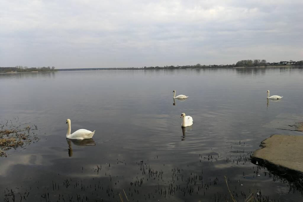 Latgales 266 6 Can Stay Self Check In Out River 200M Ρίγα Εξωτερικό φωτογραφία